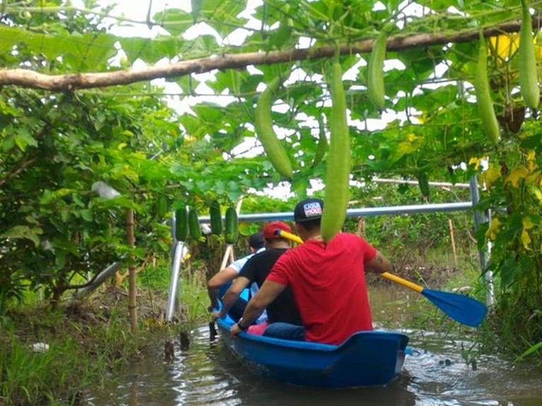 BA HIEP ORCHARD