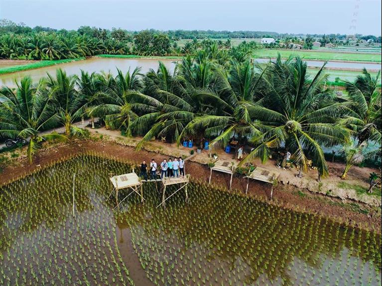 Ăn Trái Cây No Nê, Chơi "Quên Cả Lối Về" Tại 4 Cồn Đất Trù Phú Miền Tây