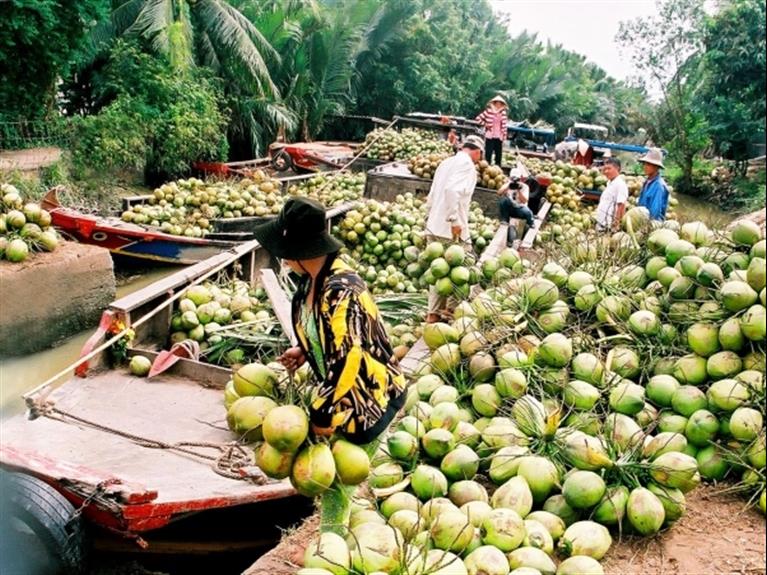 Cái Bè Town - Vĩnh Long City - Sóc Trăng City - Bạc Liêu City - Cần Thơ City