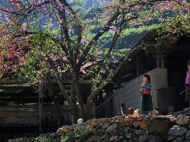 HA GIANG - DONG VAN KARST PLATEAU - KHUOI MY