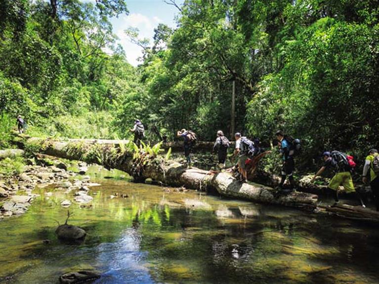 TREKKING BÙ GIA MẬP - SUỐI LƯU LY