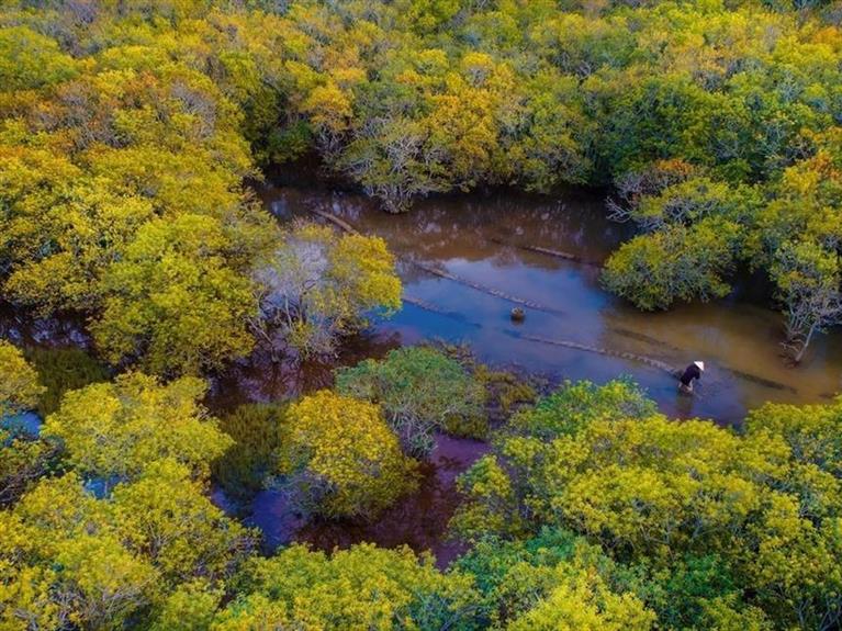 Getting lost in Hue's beautiful Ru Cha forest