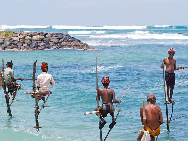 KHÁM PHÁ QUỐC ĐẢO SRILANKA- Đất Phật Tích Lan