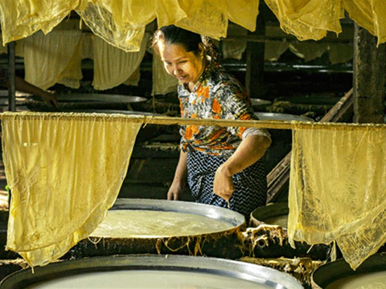 Tofu-skin craft village in Vinh Long