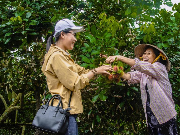 May Islet – Wild Beauty in Vinh Long