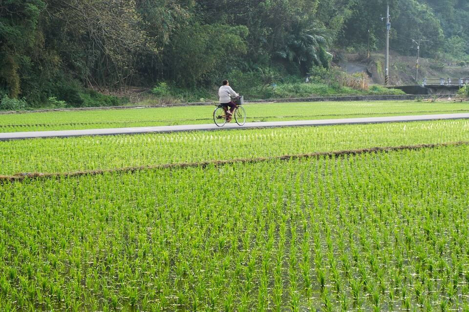 hue city