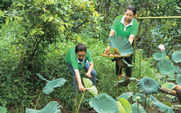 đội thu gom rác