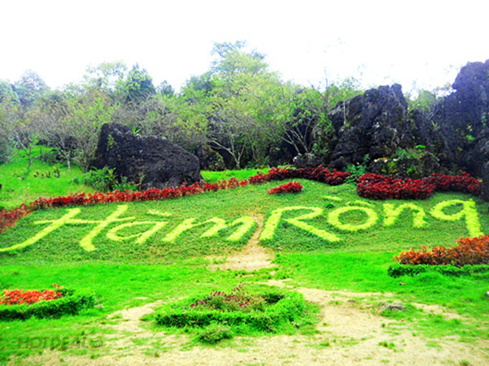 hàm rồng